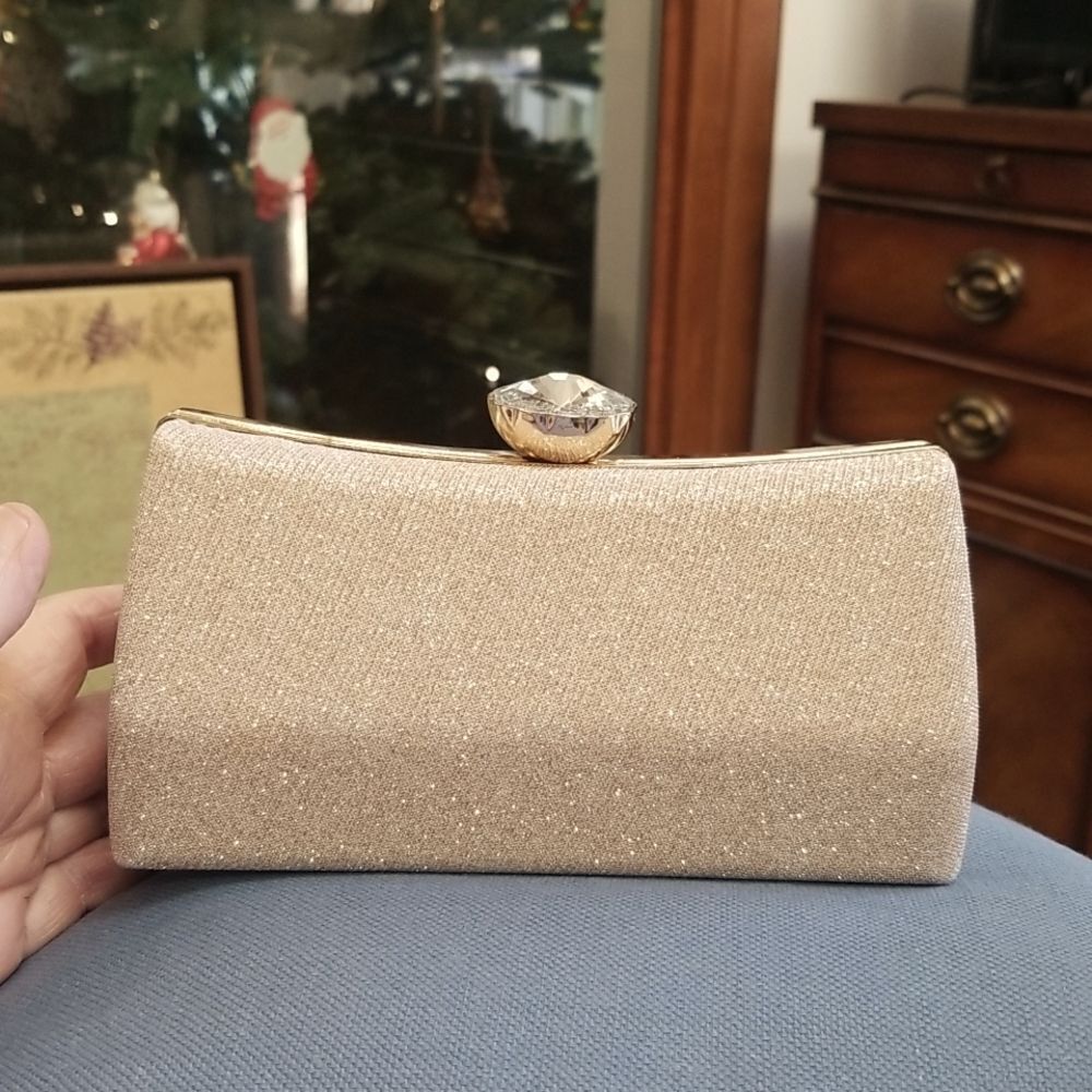 FELLINI CLUTCH GLAMOUROUS AND CHIC!!! NWOT!!!